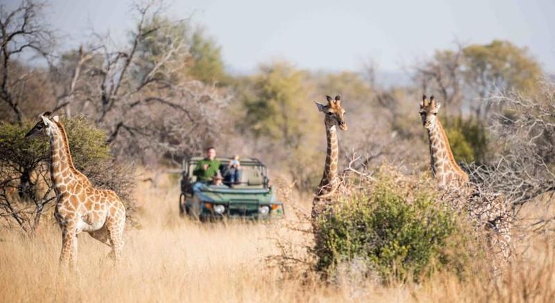 Mziki Safari Lodge Beestekraal  Экстерьер фото