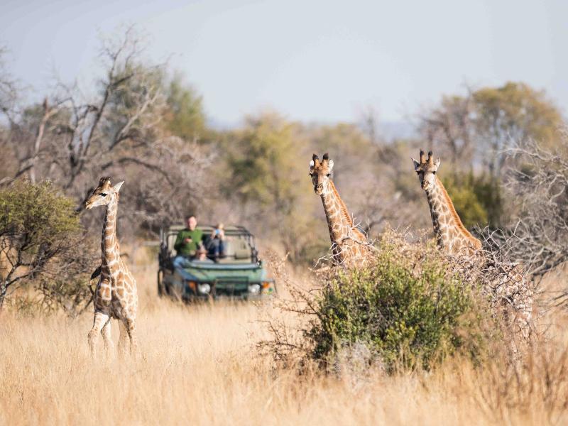 Mziki Safari Lodge Beestekraal  Экстерьер фото
